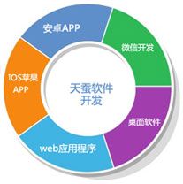 天蠶軟件開發